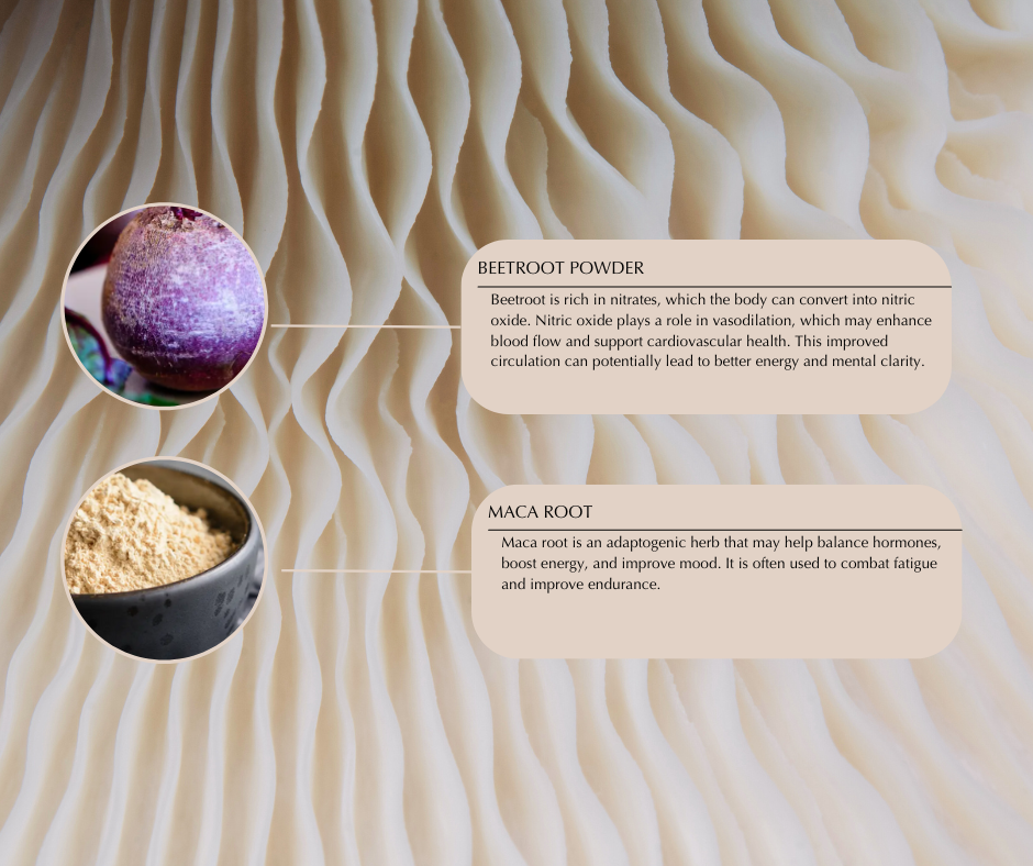 05 SMART Day Supplement